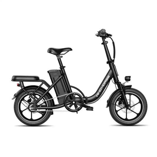 Wind Horse W2B Electric Bike