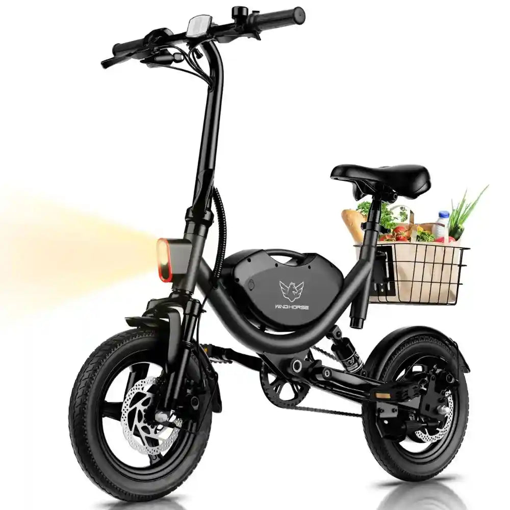 Wind Horse W3 Electric Bike