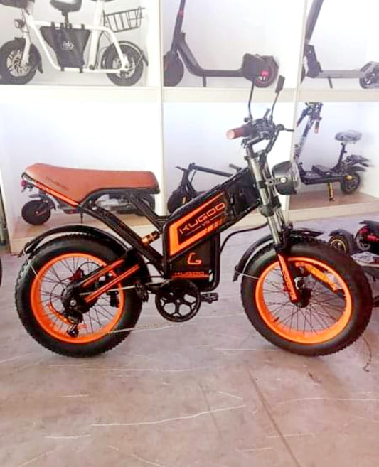 Kugoo V5 Electric Bike
