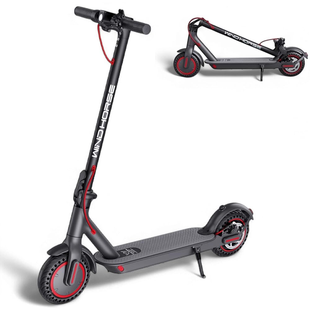 Wind Horse T1 Electric Scooter