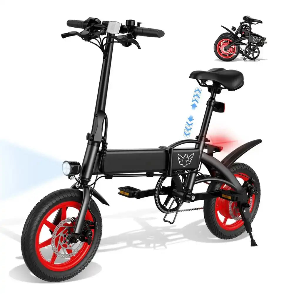 Wind Horse C19 Electric Bike
