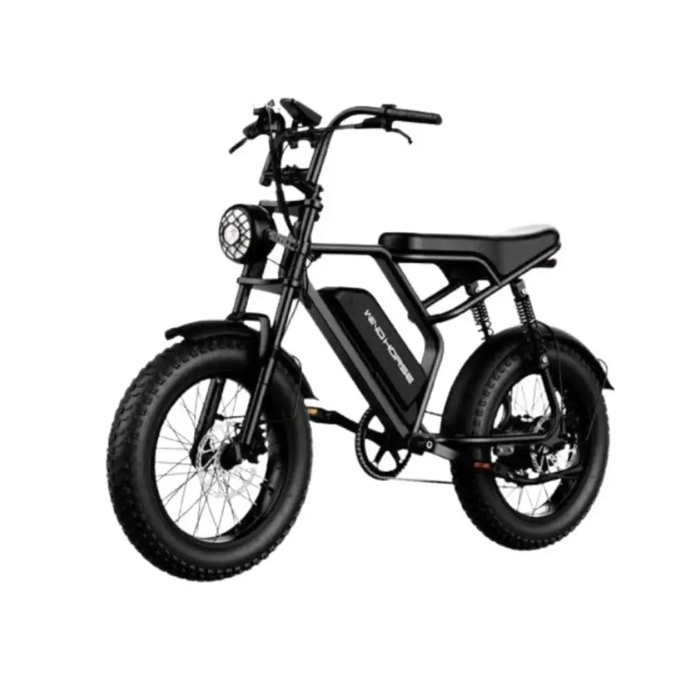 Wind Horse V8 Electric Bike