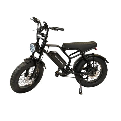 Wind Horse V8 Electric Bike