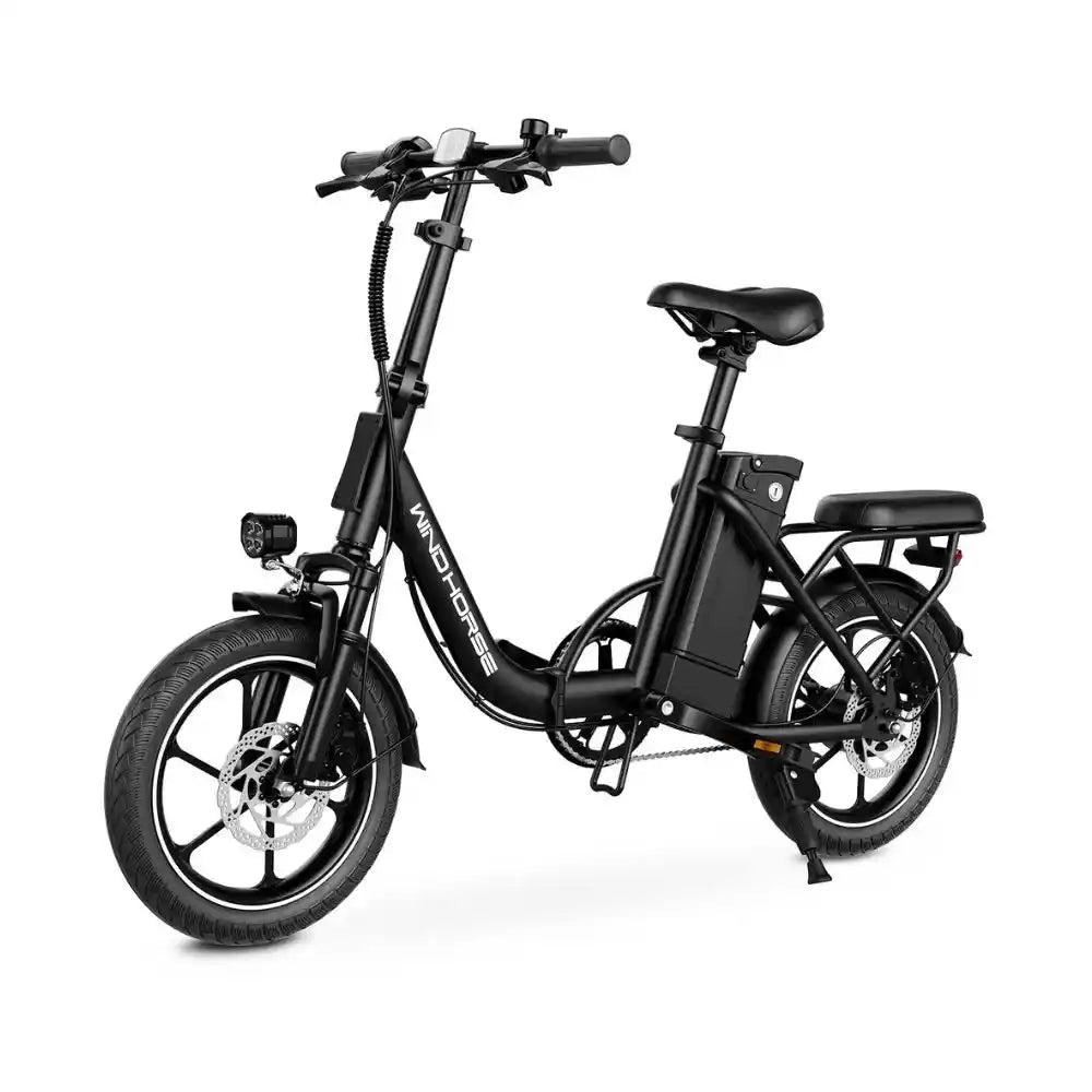 Wind Horse W2B Electric Bike