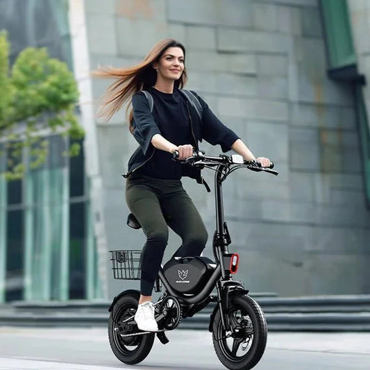 Wind Horse W3 Electric Bike