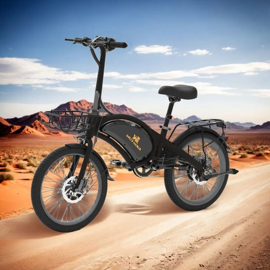 Kugoo Kirin V1 Pro Electric Scooter