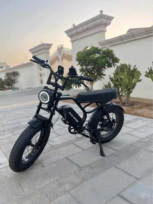 Wind Horse V8 Electric Bike