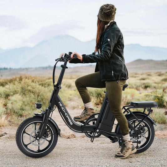 Wind Horse W2B Electric Bike